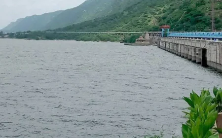 जयपुरः राजस्थान में मानसून की मेहरबानी, 353 बांध लबालब, पानी की आवक जारी