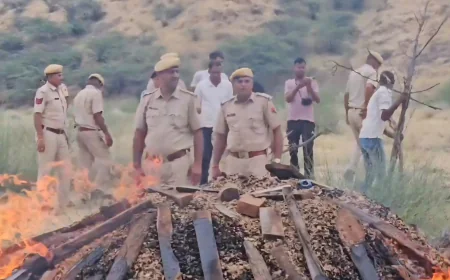 बाड़मेर पुलिस की बड़ी कार्रवाई: 3 करोड़ की 18.5 क्विंटल डोडा पोस्त जलाकर नष्ट