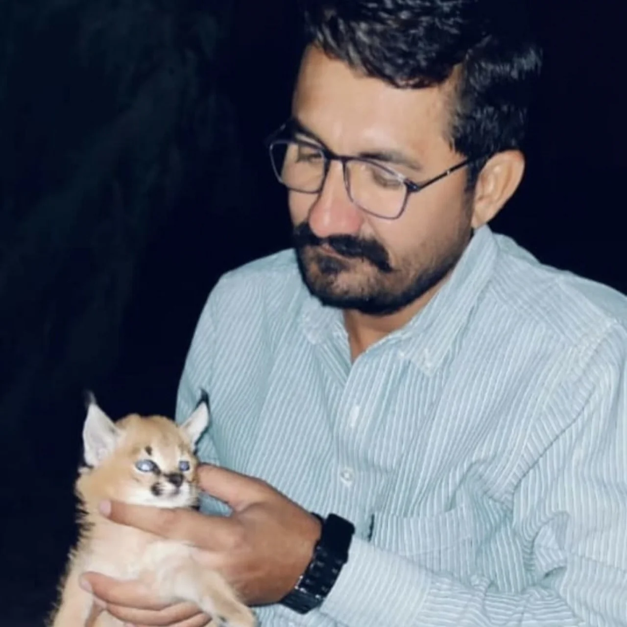 30 साल बाद जैसलमेर में दिखा दुर्लभ कैरेकल का बच्चा, वन विभाग ने शुरू किया संरक्षण अभियान