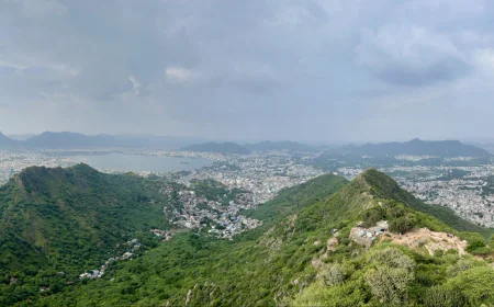 अरावली में नई माइनिंग पर केंद्र की रोक, ICFRE बनाएगा साइंटिफिक प्लान