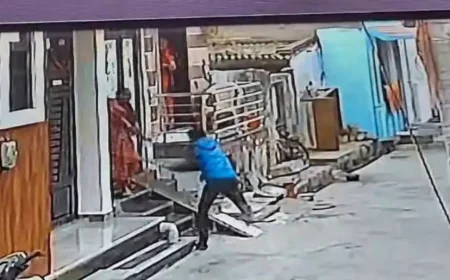 दामाद बना हैवान: तलवार लेकर ससुराल पहुंचा, पत्नी-सास-ससुर पर ताबड़तोड़ वार किए, CCTV में कैद हुई खौफनाक वारदात