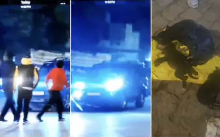 सोनार दुर्ग में फर्जी पुलिस का आतंक, तेज रफ्तार गाड़ी से तीन श्वानों की मौत