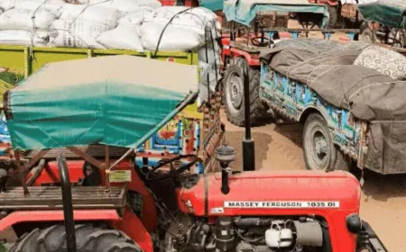 नागौर मंडी अवैध वसूली मामला ;प्रशासन ने दिखाई सख्ती 25 लाख से ज्यादा की राशि जब्त, तौल व्यवस्था में बड़े सुधार