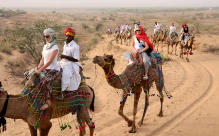 बिना प्लानिंग की टेंशन, RTDC के साथ 8 दिन में करें राजस्थान का शाही सफर जानें बजट और रूट