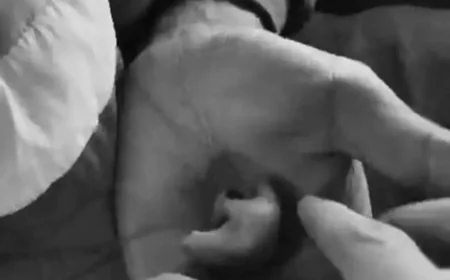 जोधपुर में पत्नी की दूसरी शादी का खौफनाक बदला जीजा ने साले की नाक काट ली वीडियो में बोला मैंने ये किया है