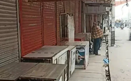 खेजड़ी के लिए आज बीकानेर बंद सोलर कंपनियों के खिलाफ लोग सड़कों पर