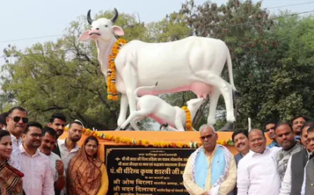 गांव में रोजगार का नया फॉर्मूला: मदन दिलावर बोले– गाय चराओ, हर महीने पाओ 10 हजार