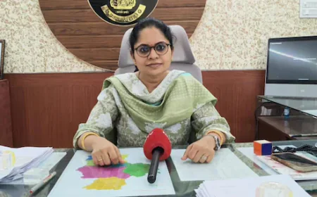 प्रतापगढ़ में भू माफिया का पर्दाफाश, कलेक्टर की रिपोर्ट से बड़ा प्रशासनिक खुलासा