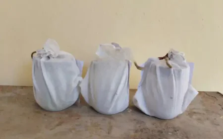 पचपदरा में बाड़े और छप्पर से अफीम–डोडा पोस्त बरामद, दो सप्लायर गिरफ्तार