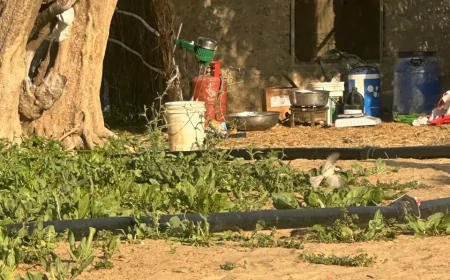 खेत में चल रही थी एमडी ड्रग्स की फैक्ट्री, पुलिस को देख भागा एक तस्कर, पुलिस ने 3 KG एमडी बरामद कर खेत मालिक समेत 2 को किया गिरफ्तार