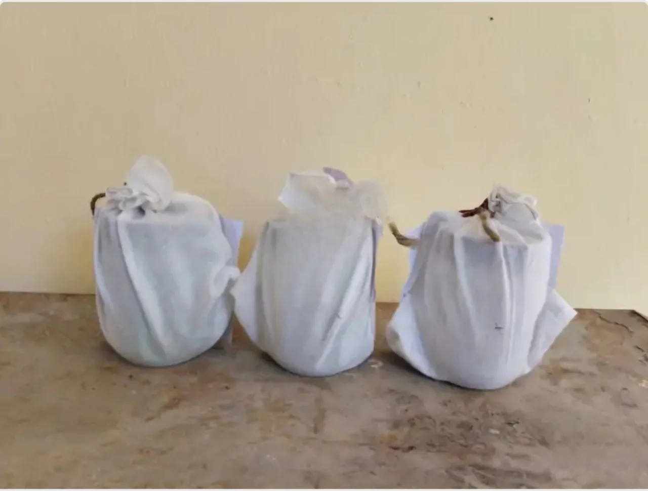 पचपदरा में बाड़े और छप्पर से अफीम–डोडा पोस्त बरामद, दो सप्लायर गिरफ्तार