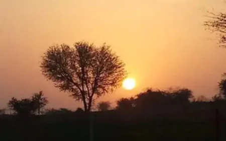 समय से पहले तपने लगा राजस्थान: फतेहपुर 35.3°C पर सबसे गर्म, होली पर और चढ़ेगा पारा